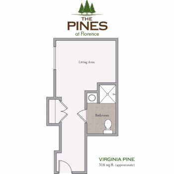 IL Floorplan - Virginia Pine